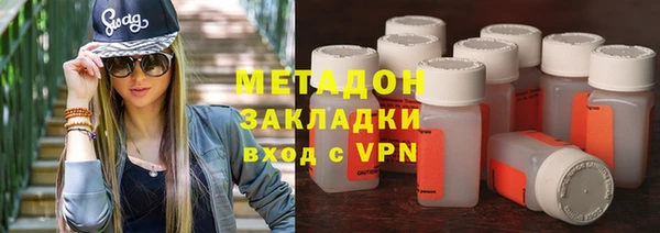 прущие грибы Верея