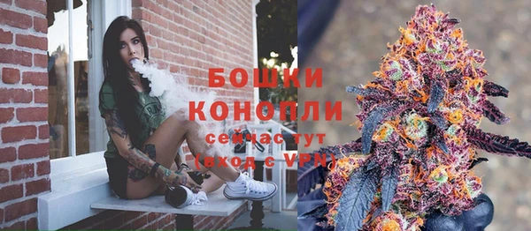 прущие грибы Верея
