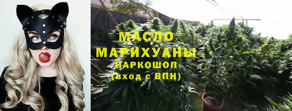 прущие грибы Верея