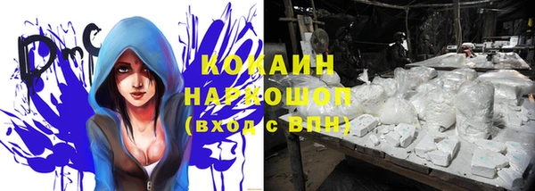 прущие грибы Верея