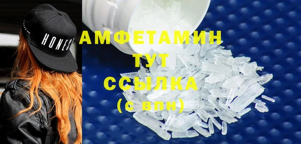 прущие грибы Верея