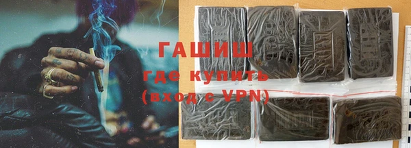 прущие грибы Верея